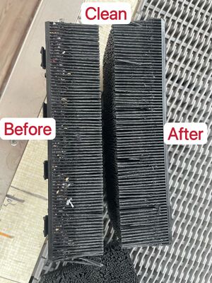 Bristle clean machine use on the auto-cutter, increasing bristle lifespan by 40%